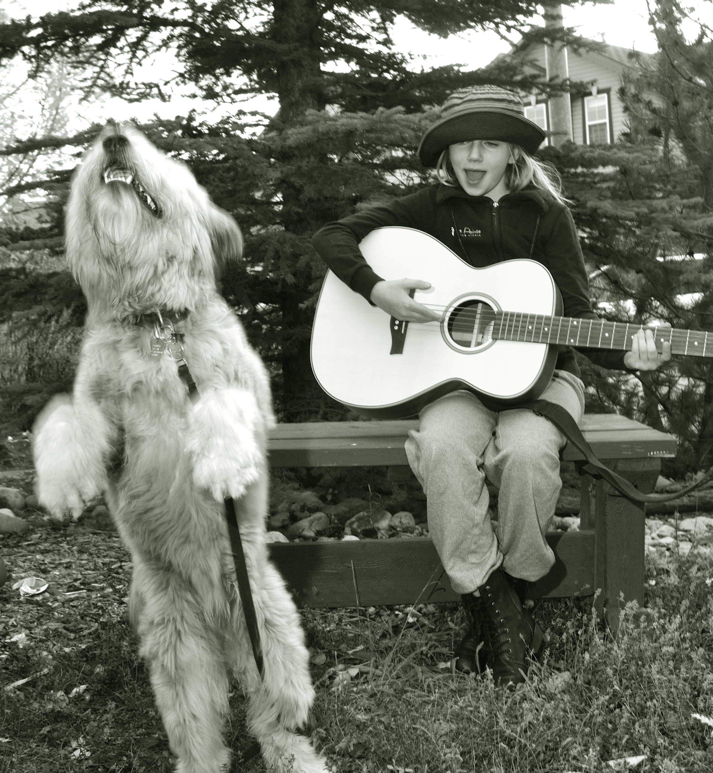 Puppy and a Banjo